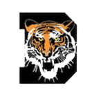 Dover High School logo